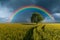 Wheat field, road and tree