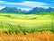 Wheat field. Rural hills and meadows. Scenery. Pasture grass for cows and a place for a vegetable garden and farm