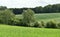 Wheat field in spring, beautiful landscape, green grass and blue sky. Germany.