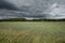 Wheat field and stormy sky