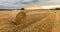 Wheat Field Sunrise