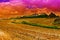 Wheat Field at Sunset