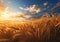 A Wheat Field Sunset: A Product Technology Review