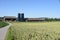 Wheat field in Switzerland countryside in sunny summer weather