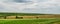 Wheat field with traces of agricultural equipment