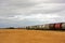 Wheat field and train