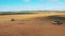 Wheat field with two combines cutting the crops