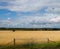 Wheat field under the cloudy sky in Sweden before harvest