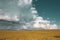 wheat field under sunset cloud sky