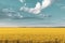 wheat field under sunset cloud sky