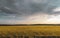 wheat field under sunset cloud sky