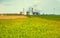 Wheat Field Waves Moved by Summer Wind Nature