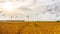 Wheat field and wind generators, time-lapse