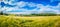 Wheat fields. Blue sky