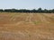 Wheat fields close to the city in Ontario