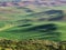 Wheat fields contour the Palouse hills