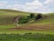 Wheat fields contour the Palouse hills