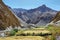 Wheat fields and dry mountains along the Markha Valley trek, Ladakh region, India