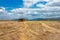 Wheat fields and farmer hut near the Turkish town of Amasya