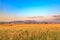 Wheat fields with mountains in Denizli, Turkey