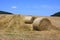 Wheat fields in the mountains of Germany, Hettigenbeuern