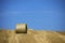 Wheat fields in the mountains of Germany, Hettigenbeuern