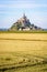 Wheat fields in the polders opposite the Mont Saint-Michel tidal island in Normandy, France