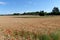 Wheat fields and ramparts of Provins fortified village