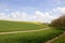 Wheat fields and woodland