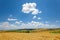 Wheat filed with cloudy sky