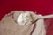 Wheat flour on a wooden spoon in red bowl. Baking bread process