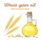 Wheat germ oil in glass bottle. Vector illustration