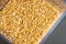 wheat grain inside square storage container closeup