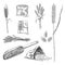 Wheat grain sketch collection. Hand drawn black and white set of wheat grains plants. Agriculture, organic farming and