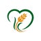 Wheat grain and Wheat rice logo Inspiration vector