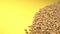 Wheat grains on a yellow background. 2 Shots. Slow motion. Vertical pan. Close-up.