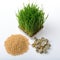 Wheat grass,whole wheat bread and wheat grains