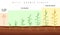 Wheat growth stages. Cereals crop maturation process, spikelet development steps, seeds and green plant, grain