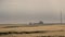 Wheat harvest destroyed by a thunderstorm. Morning summer landscape