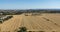 Wheat harvest field panoramic