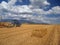 Wheat harvest on Liptov, Slovakia