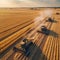 Wheat harvesting with combine harvester and tractor.generative ai