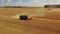 Wheat harvesting, harvesting, video from a drone 4k.