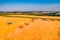 Wheat harvesting process. Combines work in the field.