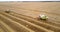 Wheat harvesting process on golden fields by combines