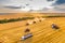 Wheat harvesting process at sunset. Combines work in the field