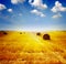 Wheat haystack landscape