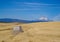 Wheat heading to the grain elevator