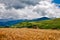 Wheat heads on a field with mountains on a background