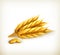 Wheat, icon